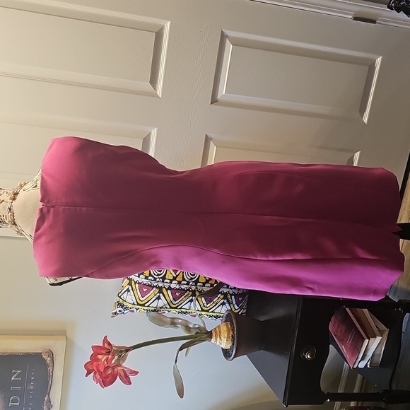 Maurice's Elegant Hot Pink Sleeveless Dress - Picture 8 of 17